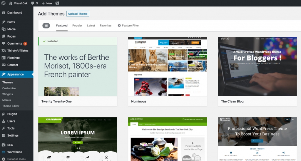 Install a new blog theme in WordPress