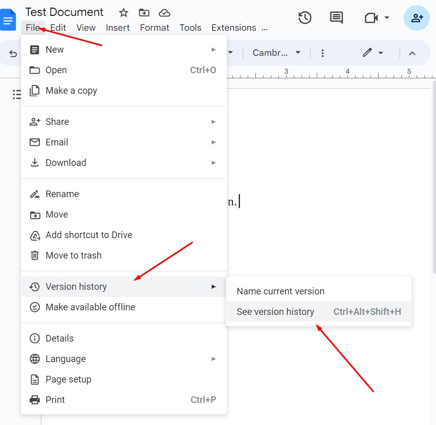 Google Docs menu option to see version history