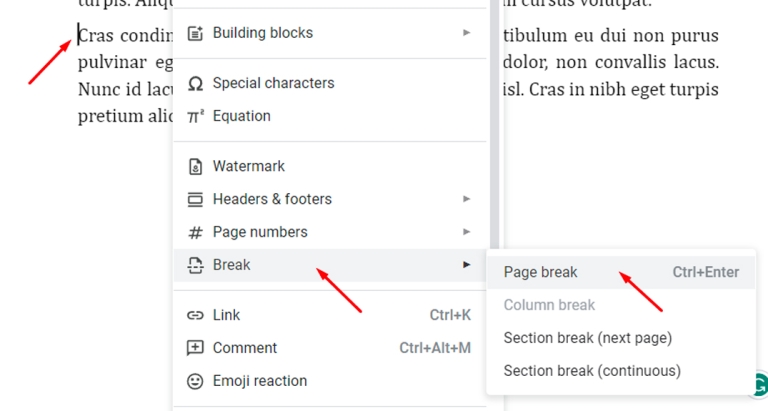 How to Add or Remove Page Breaks in Google Docs [2023]