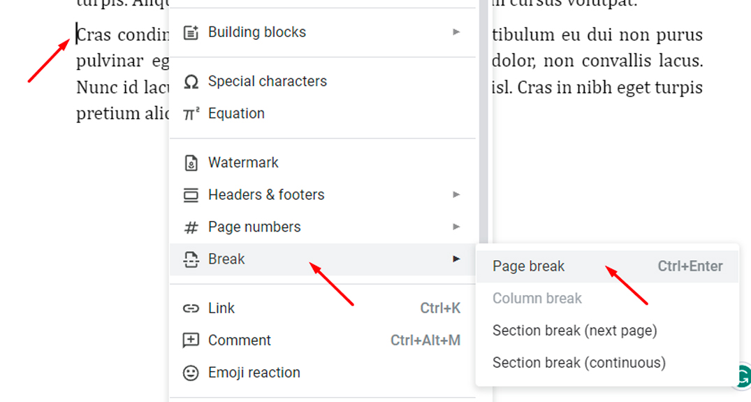 How to add and remove page break in Google Docs