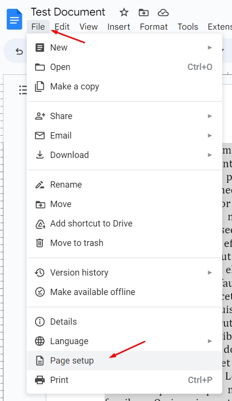Google Docs Page setup menu