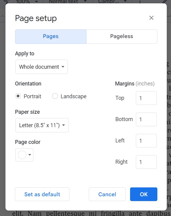 Page setup dialog in Google Docs to adjust margins