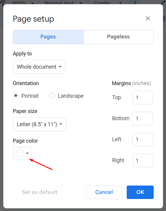 Google Docs page color setting in the page setup menu
