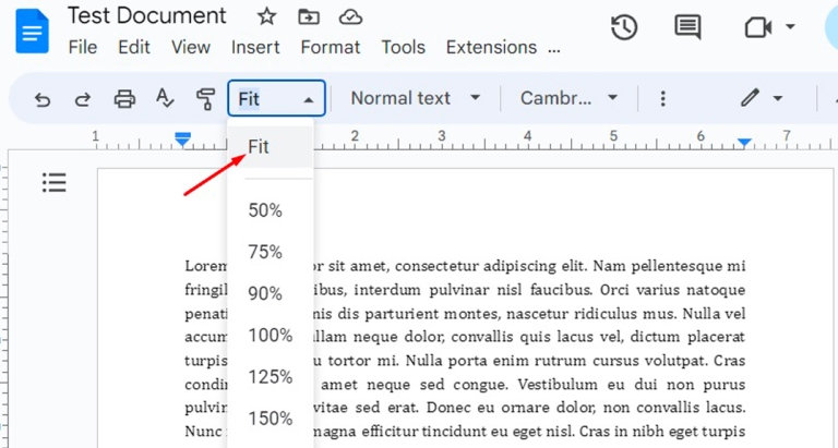 How to Zoom In and Zoom Out in Google Docs [2023]