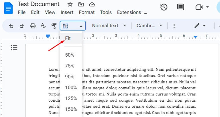 How to Zoom In and Zoom Out in Google Docs [2023]
