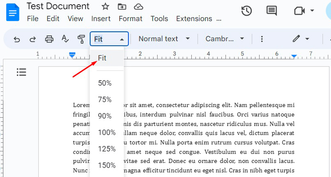 How To Zoom In and Zoom Out with Google Docs