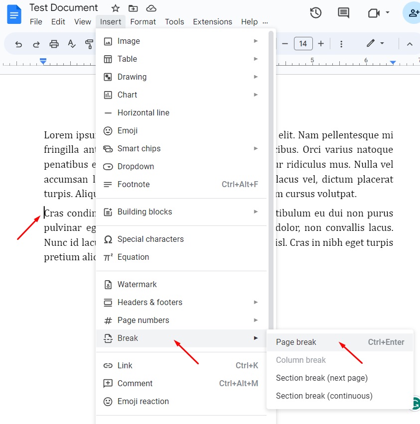 Screenshot showing the page break menu in Google Docs