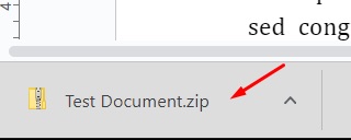 Google Chrome downloads showing a .zip file