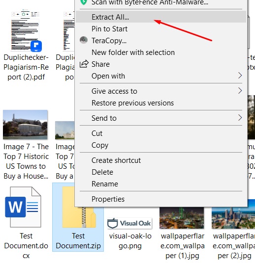 Extract zip file contents