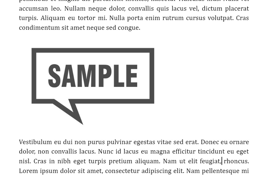 Inserted image in Google Docs