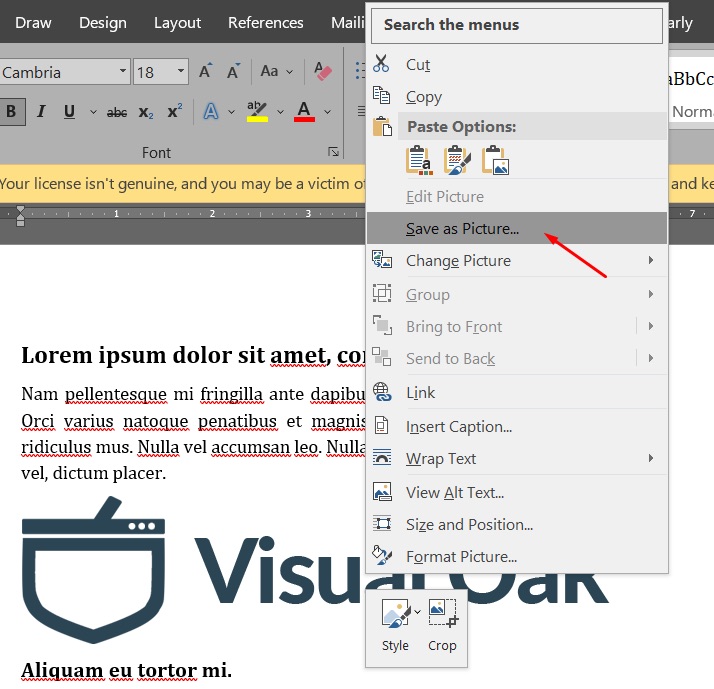 Save as picture in Microsoft Word