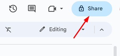 Share button in Google Docs