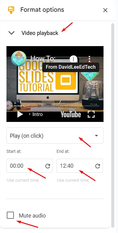 Playback options for a video in Google Slides