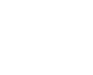 Person with computer